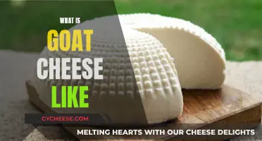 Goat Cheese: A Unique and Tangy Experience