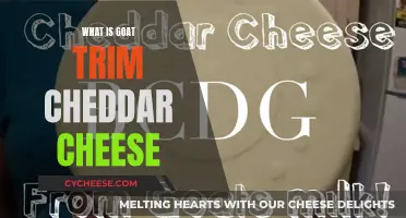 Goat's Milk Cheddar: A Cheesy Adventure