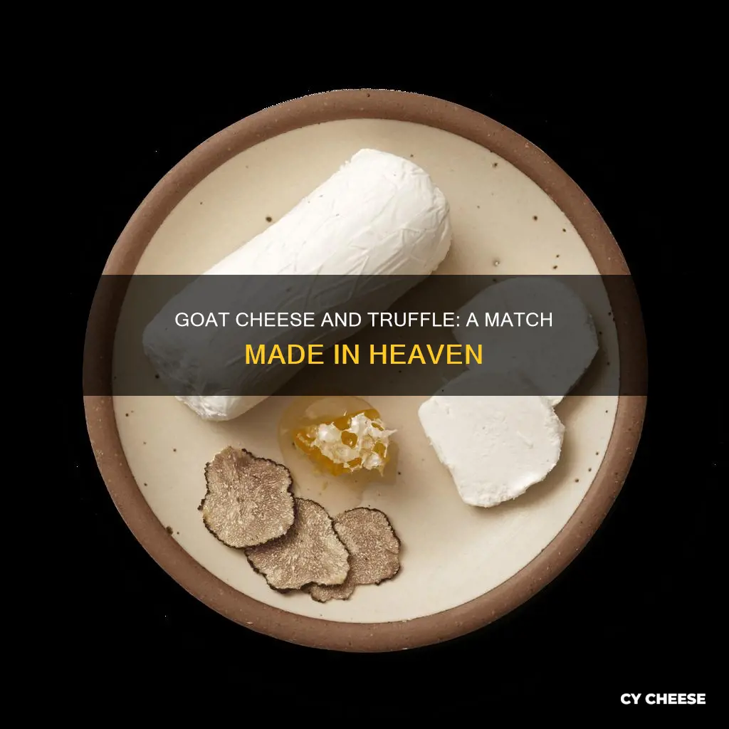 what is goat truffle cheese