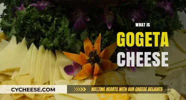 Unveiling Gogeta Cheese: Origins, Flavor, and Culinary Uses Explained