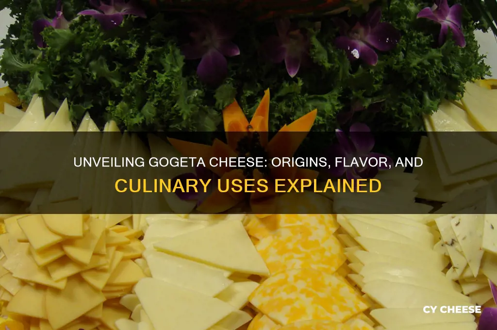 what is gogeta cheese