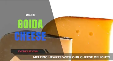 Discover the Rich Flavor and Uses of Goida Cheese