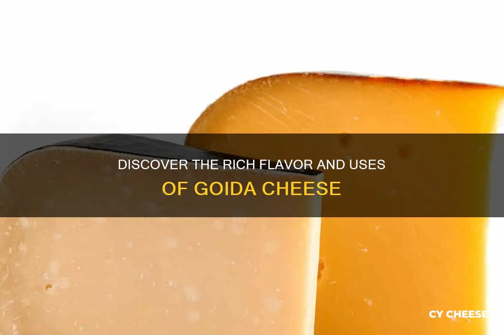 what is goida cheese