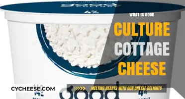 Exploring Good Culture Cottage Cheese: Health Benefits and Delicious Uses