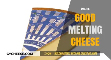 Discover the Best Melting Cheeses for Perfect Gooey Recipes