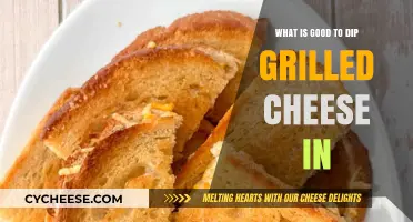 Delicious Dipping Sauces to Elevate Your Grilled Cheese Experience