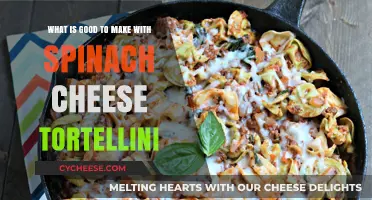 Delicious Spinach Cheese Tortellini Recipes: Creative Meal Ideas to Try