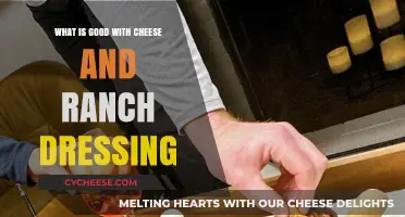 Delicious Pairings: Cheese and Ranch Dressing Combo Ideas