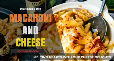 Delicious Pairings: What to Serve with Macaroni and Cheese