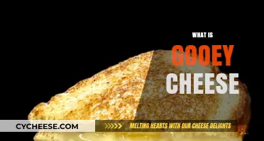 Melting Magic: Unraveling the Irresistible Charm of Gooey Cheese