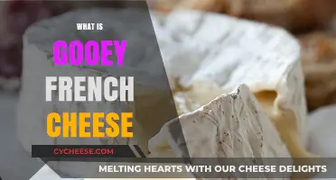 Discover the Melty Magic of Gooey French Cheese Delights