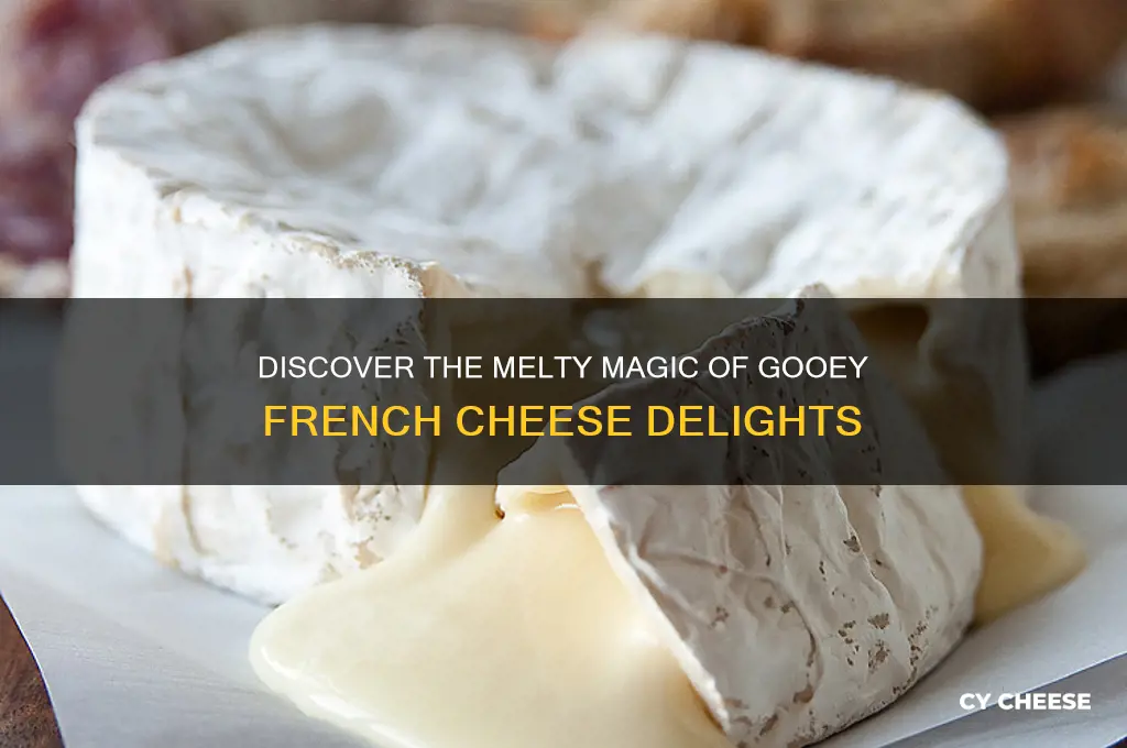 what is gooey french cheese