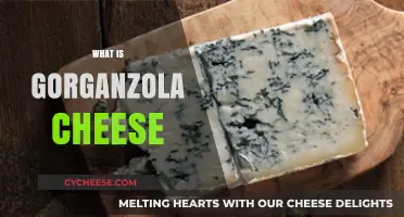 Exploring Gorgonzola: Italy's Iconic Blue Cheese History and Flavor