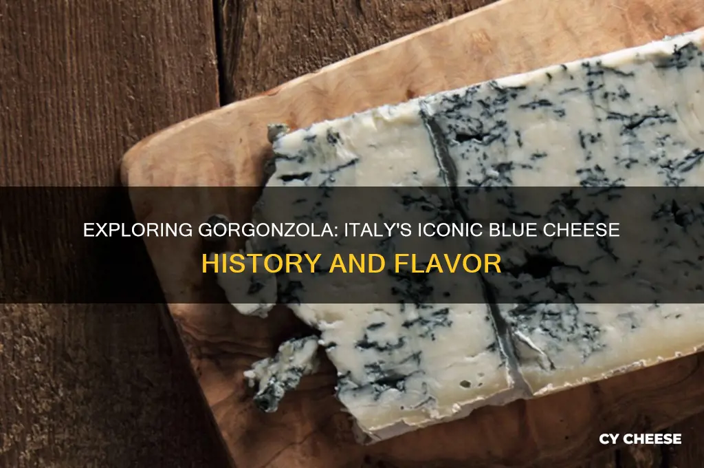 what is gorganzola cheese