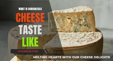 A Blue Cheese Delight: Exploring Gorgonzola's Rich, Earthy Flavor