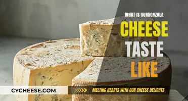 The Unique Taste of Gorgonzola Cheese