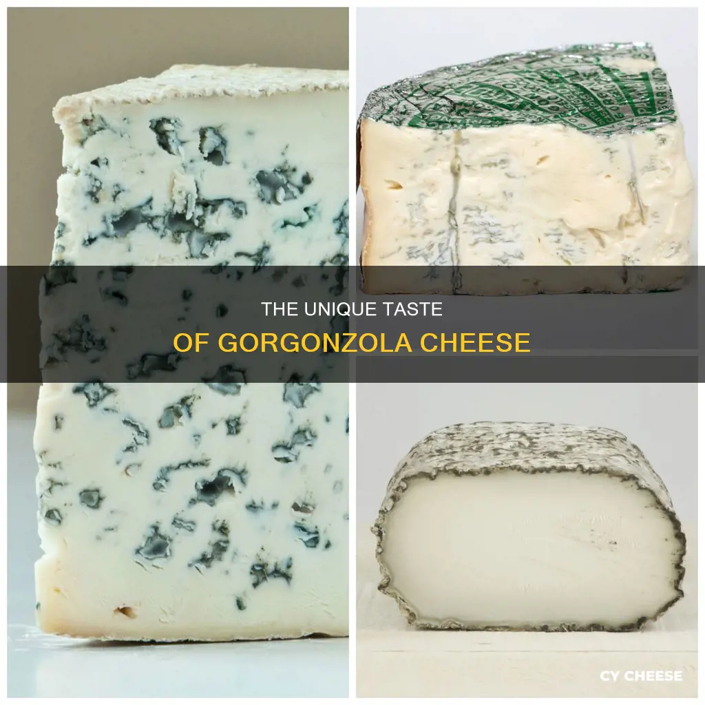 what is gorgonzola cheese taste like