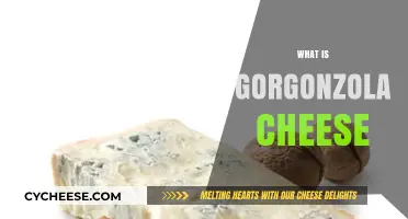 Discover the Rich, Creamy, and Pungent World of Gorgonzola Cheese