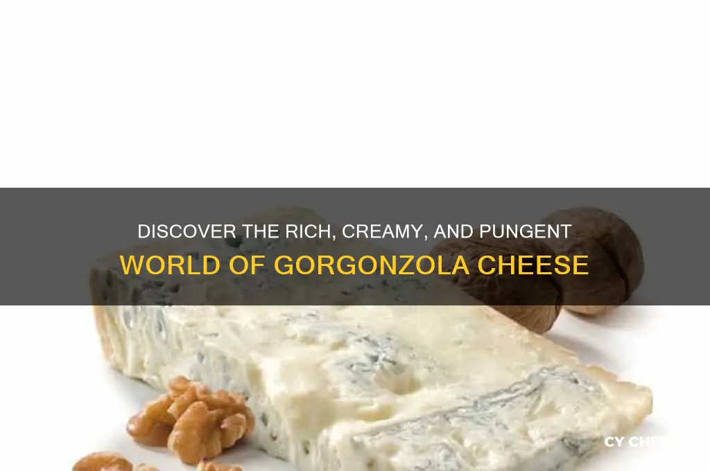 what is gorgonzola cheese