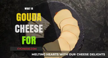 Discover Gouda Cheese: Uses, Flavors, and Culinary Pairings Explained