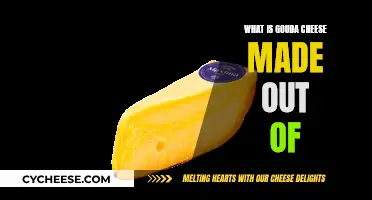 The Magic Ingredients Behind Gouda Cheese's Unique Taste