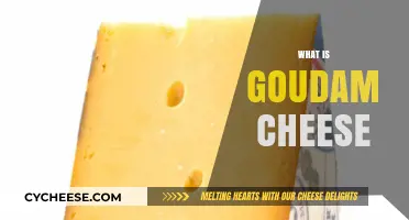 Discover the Rich Flavors and Origins of Goudam Cheese