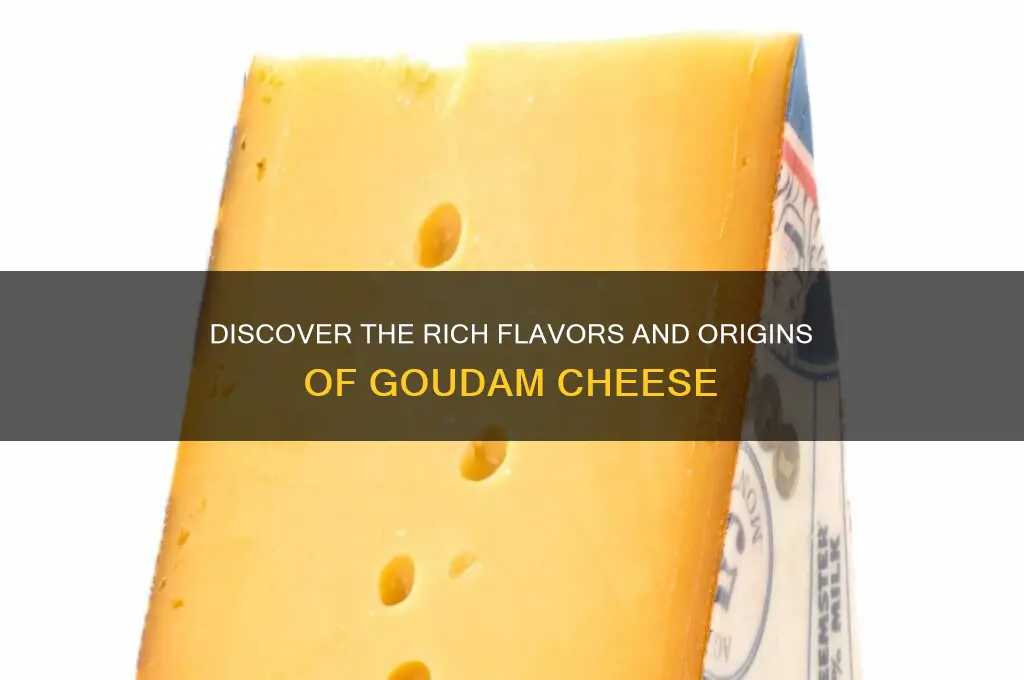 what is goudam cheese