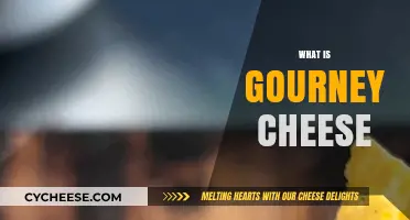 Discover the Rich, Creamy Delight of Gourney Cheese