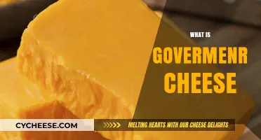 Understanding Government Cheese: History, Purpose, and Impact Explained
