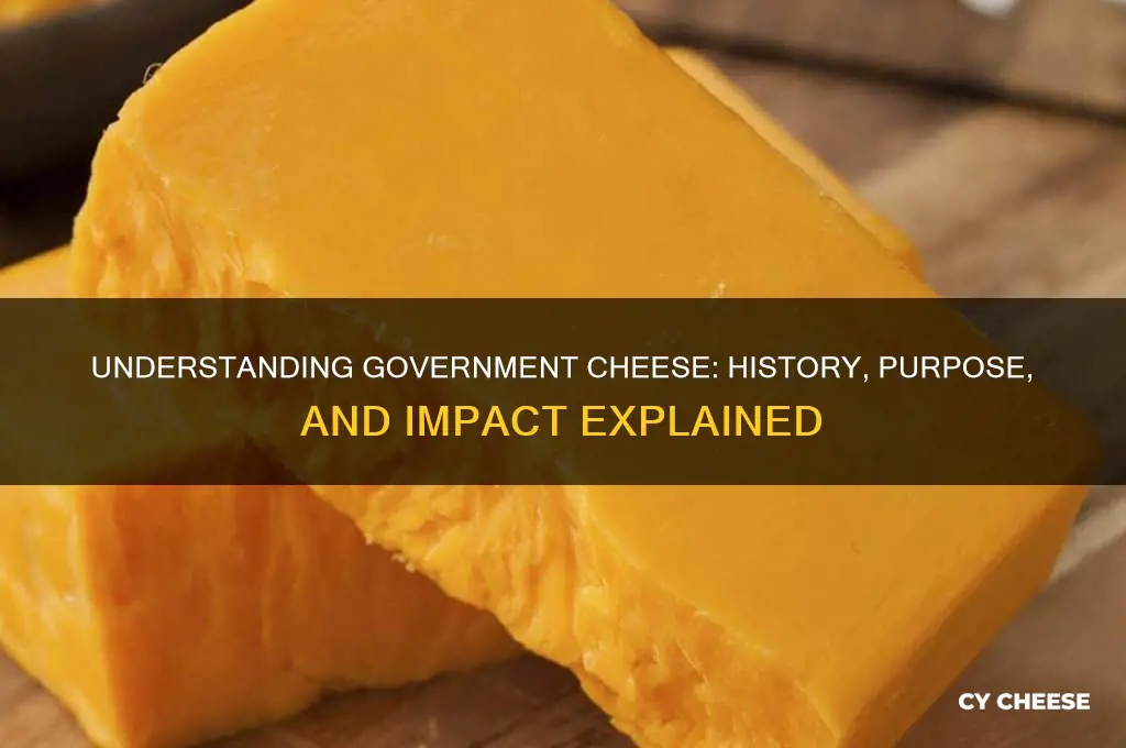 what is govermenr cheese
