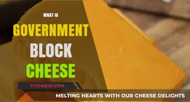 Understanding Government Block Cheese: Uses, Benefits, and Distribution Explained