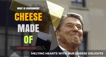 Unveiling the Mystery: Government Cheese Ingredients Revealed