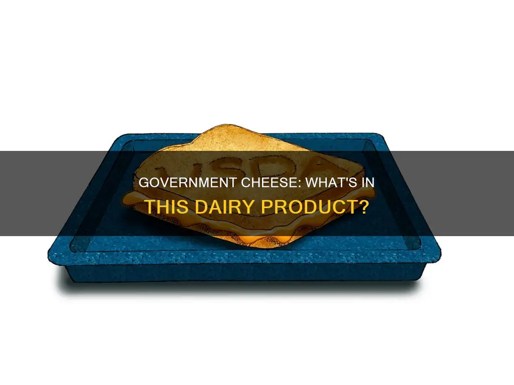 what is government cheese made of