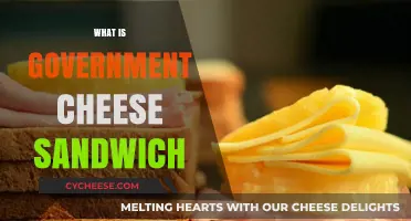 Unraveling the Mystery of the Government Cheese Sandwich: A Tasty History