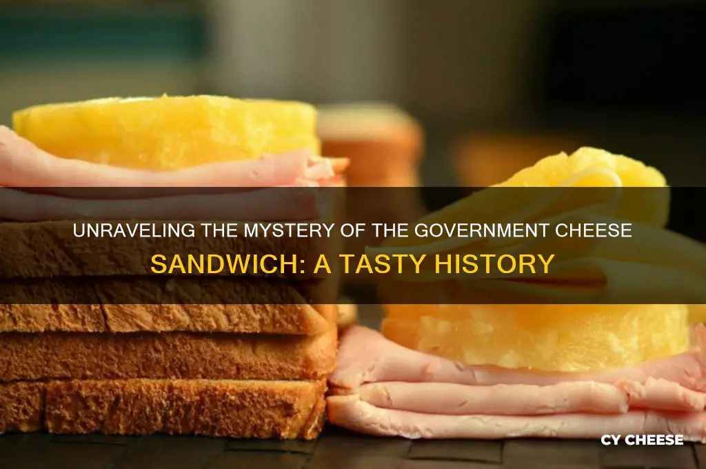 what is government cheese sandwich