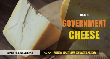 Unraveling the Mystery: What is Government Cheese and Its History