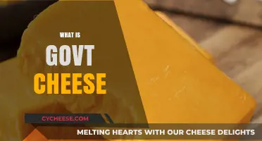 Understanding Govt Cheese: History, Impact, and Cultural Significance Explained