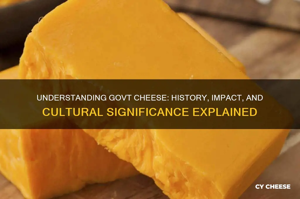 what is govt cheese