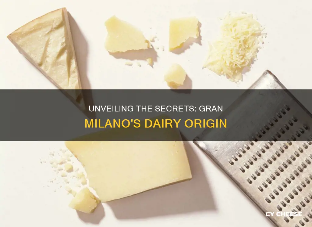 what is gran milano cheese made from