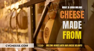 The Crafting of Gran Milano Cheese