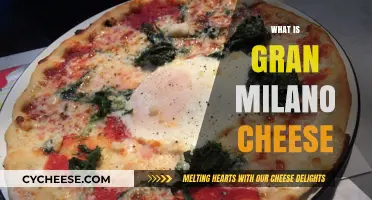 Discover Gran Milano Cheese: A Rich, Creamy Italian Delight Explained