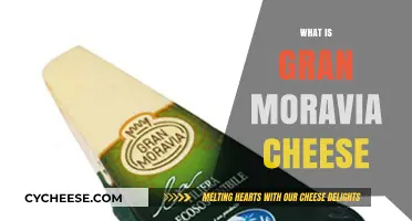 Discover the Rich Flavors of Gran Moravia Cheese: A Guide