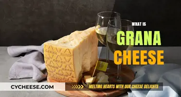 Discover the Rich History and Flavor of Grana Cheese