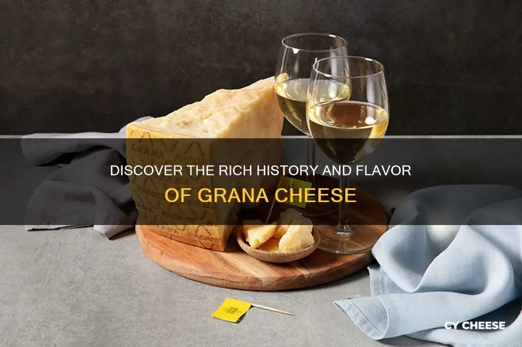 what is grana cheese