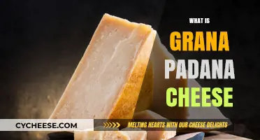 Discover the Rich History and Flavor of Grana Padano Cheese