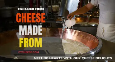 The Crafting of Grana Padano Cheese