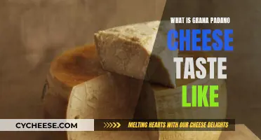 A Taste of Italy: Exploring Grana Padano's Rich, Nutty Flavor