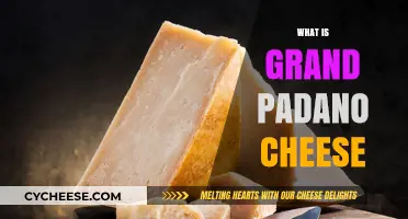 Discovering Grana Padano: Italy's Iconic Hard Cheese Explained