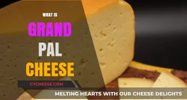 Discover the Rich Flavor and History of Grand Pal Cheese