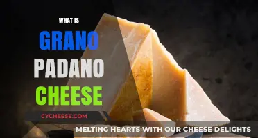 Discover the Rich History and Flavor of Grano Padano Cheese